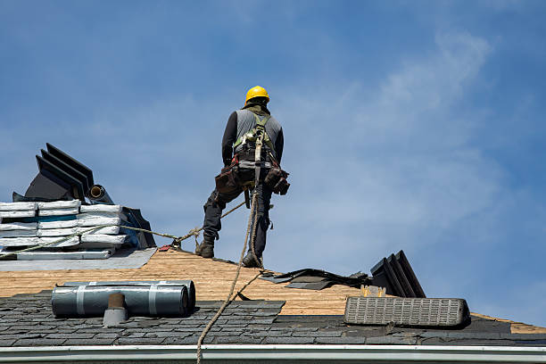 Professional Roof Replacement technician working in Preston, WA